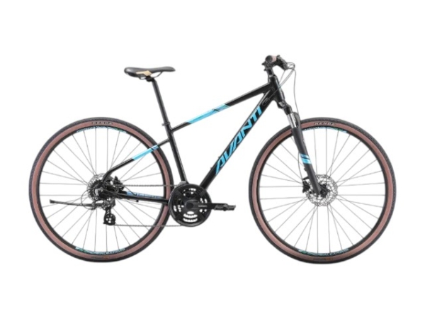 Avanti X-Plorer 1 W  Black/Teal
