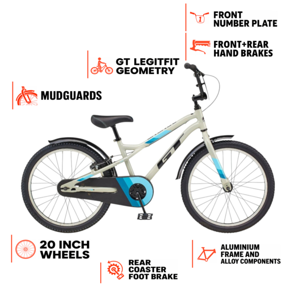 GT Grunge 20″ Kids Bike