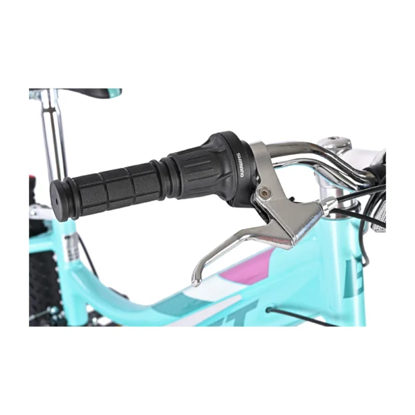 Billet Breaker 24″ Kids Mountain Bike – Teal